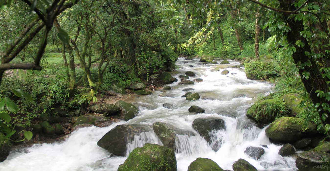 small treks in nepal