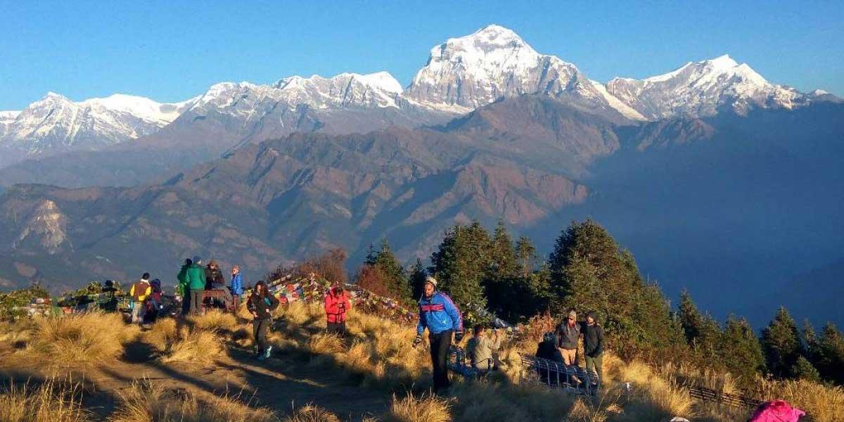 Annapurna Panorama Trek, Short Trek in Annapurna